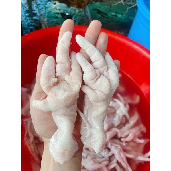 ☘️🐤CHÂN GÀ RÚT XƯƠNG 🐤☘️🧧