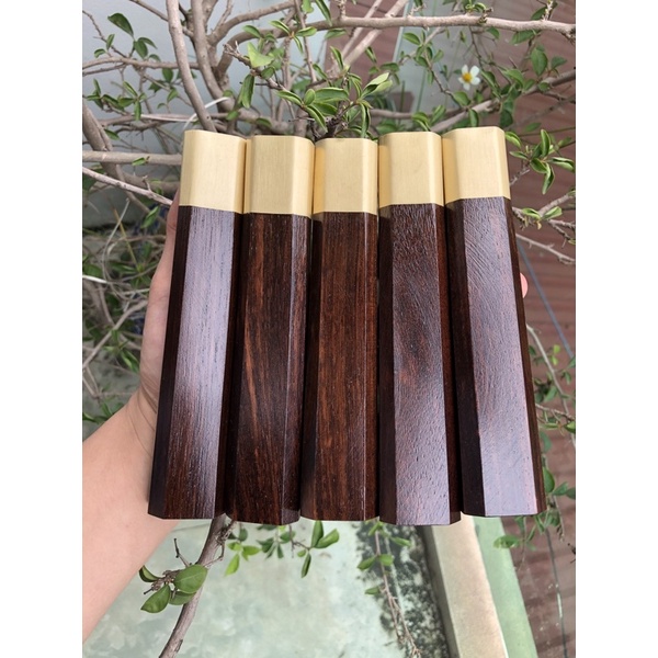 chuôi cẩm chỉ