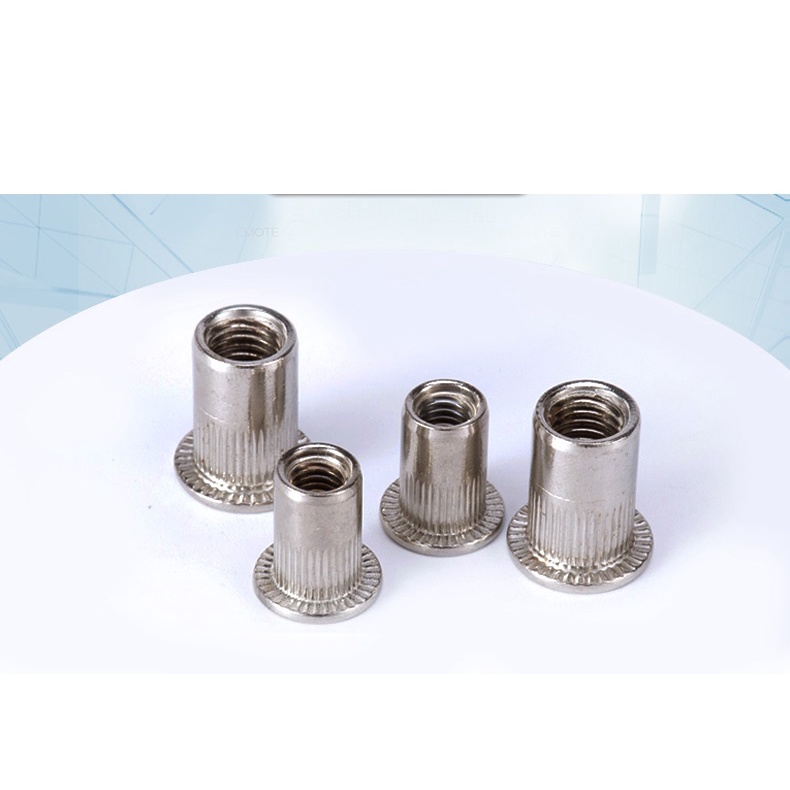Combo 50c Ốc tán rút inox 304 M8