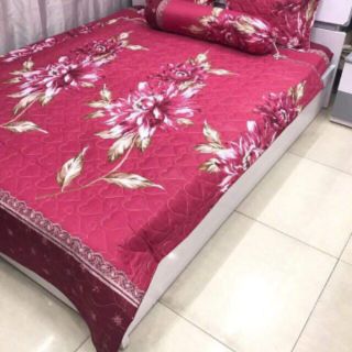 Sét chăn ga gối full bộ