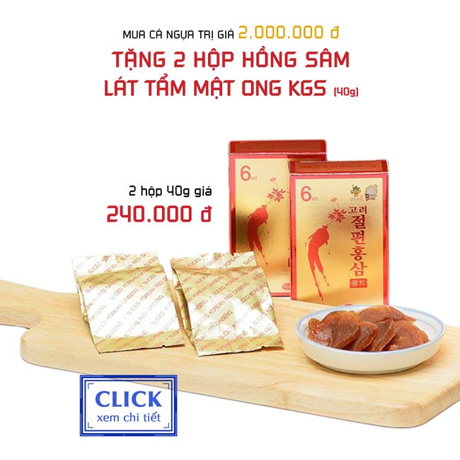 Cá ngựa khô (hải mã) - 1 cặp dài 11cm - Tặng 40g Hồng Sâm mật ong KGS khi mua cá ngựa 2.000.000đ