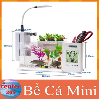 Bể cá mini