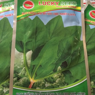 Hạt giống cải bó xôi chịu nhiệt , chịu lạnh F1 20 g