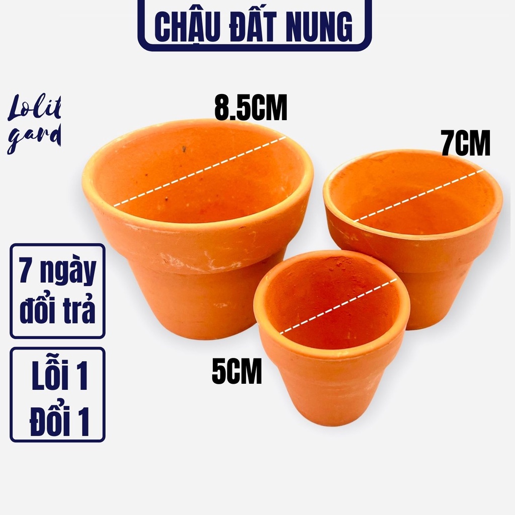 CHẬU ĐẤT NUNG NÂU SIÊU XINH SIÊU KHỎE LỖI 1 ĐỔI 1