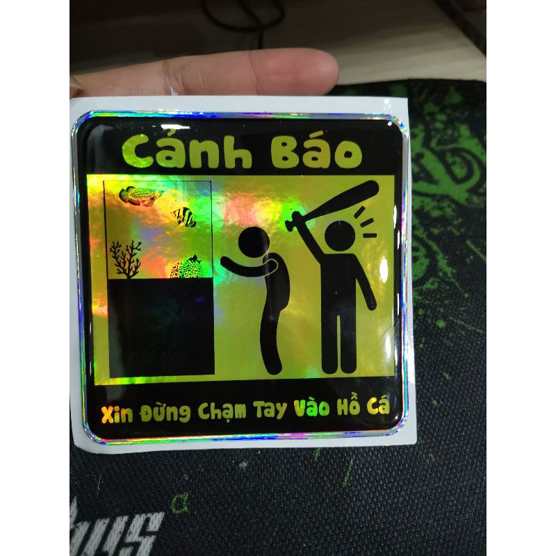 Logo cảnh báo không chạm vào hồ cá hài hước.