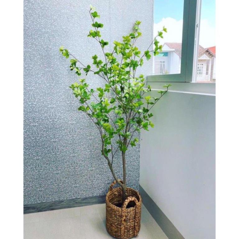 Cây giả- cây Thạch Nam trang trí nhà cửa cao 1,4 met
