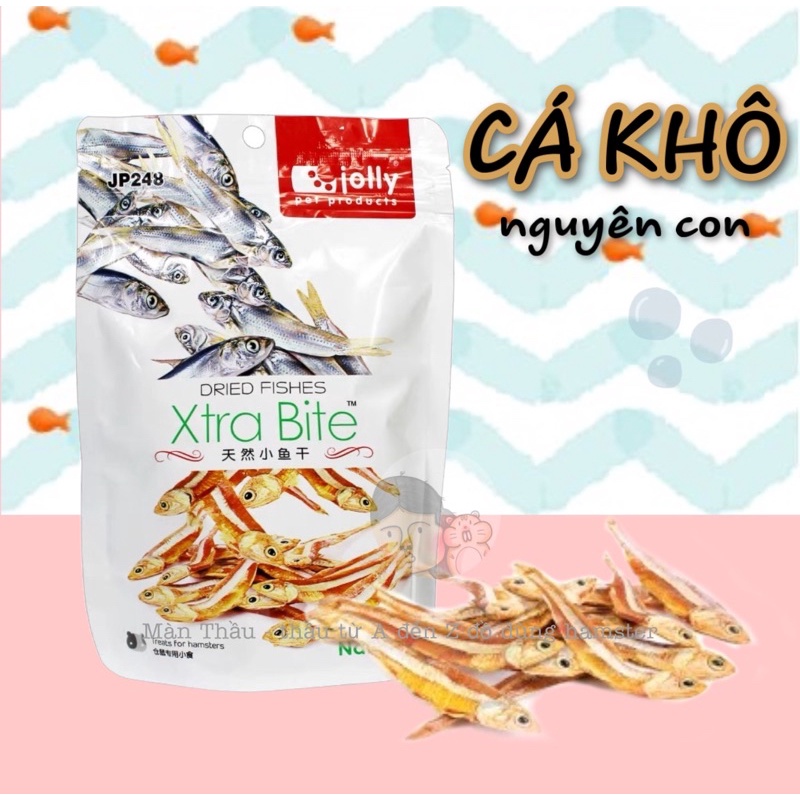 Cá sấy nguyên con Jolly dành cho Hamster