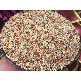 Hạt trộn cho chim yến phụng gói 1kg