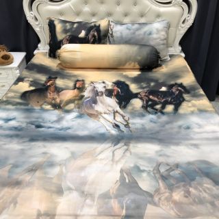 Drap thun Lạnh 5D