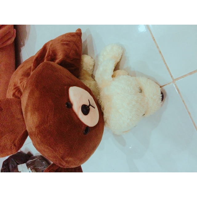 Gấu nâu