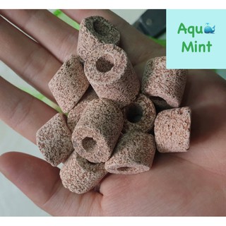 Sứ Lọc Cao Cấp Maifan Ring Moutain Tree (100ml)