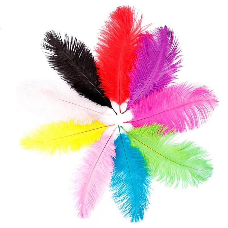 Bộ 10 lông đà điểu 10-12 inches nhiều màu sắc