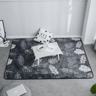 Thảm trải sàn King size m9x2m