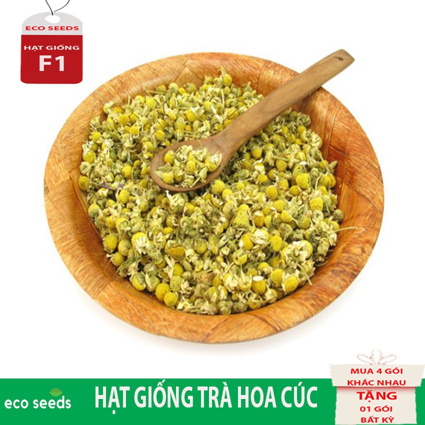 HẠT GIỐNG TRÀ HOA CÚC H1 Eco seeds KLT 3g. Hoa cúc nhỏ có màu trắng hoặc vàng. Có vị ngọt hơi đắng, tính mát. Dùng an th