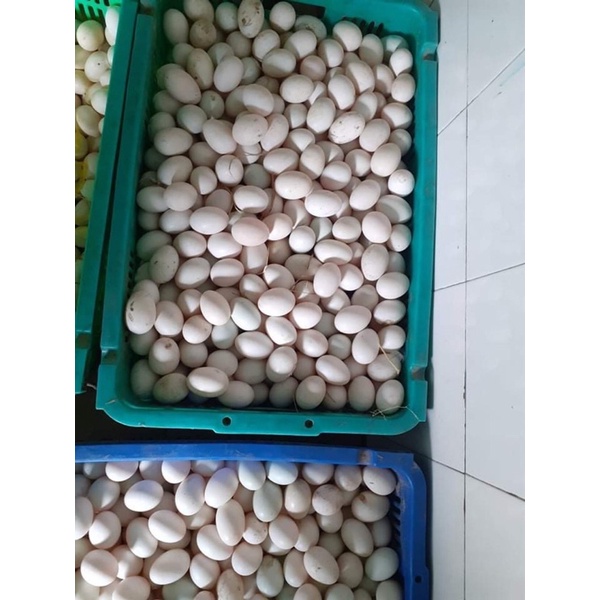 10 Trứng Vịt Đồng Bao Sạch