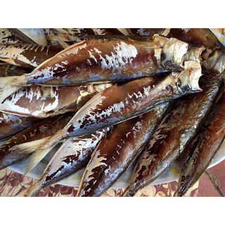 CÁ ĐỐM NỤC NỘT DA - 1kg