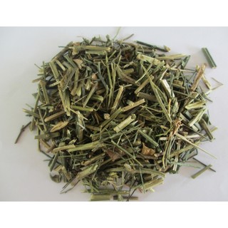 xuyên tâm liên - lá tắm thủy đậu