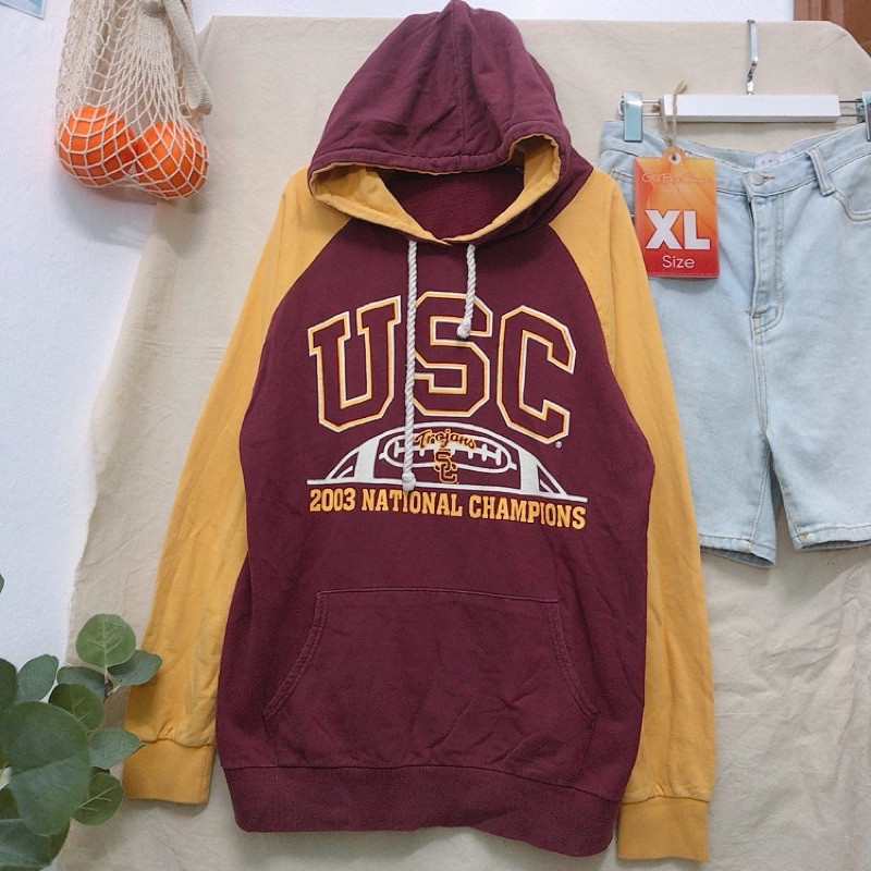 áo hoodie 2hand hàn quốc siêu phẩm(size trong ảnh)