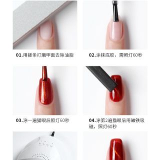 Sơn gel As mắt mèo