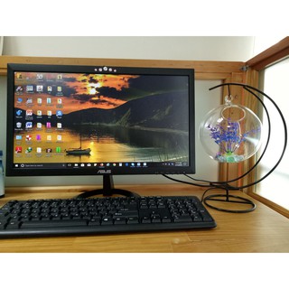 [ Tặng kèm phụ kiện ] Bể Cá Mini Cung Trăng 20