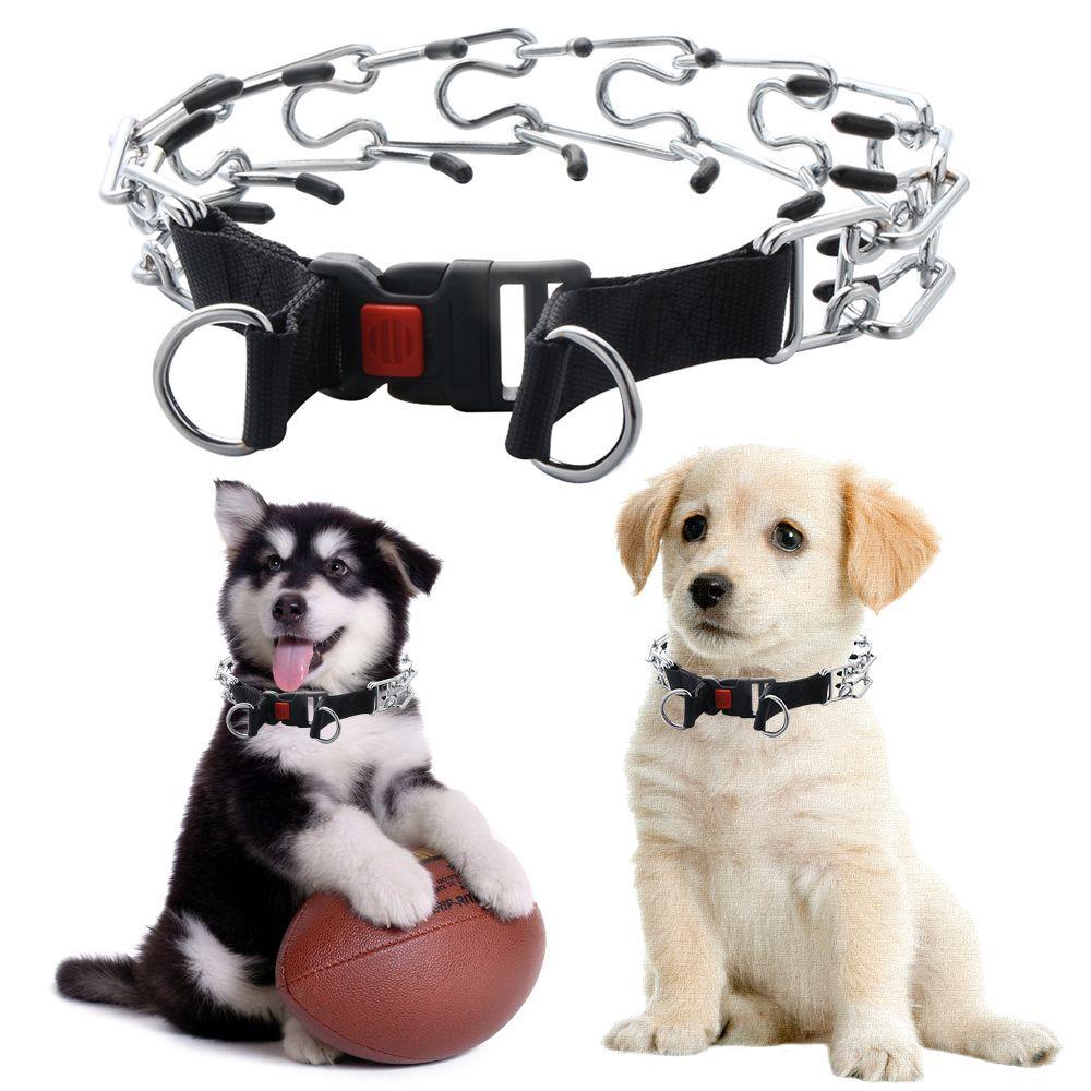 Vòng Cổ Cao Su Dắt Thú Cưng Đi Dạo Có Thể Điều Chỉnh Kích Thước