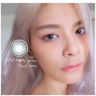 Mini PoNy gray 2 cặp 