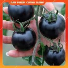 HẠT GIỐNG CÀ CHUA ĐEN LUCKY GÓI 10H
