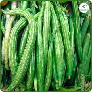 Hạt Giống Lặc Lè (Mướp Nhật) - 5gr