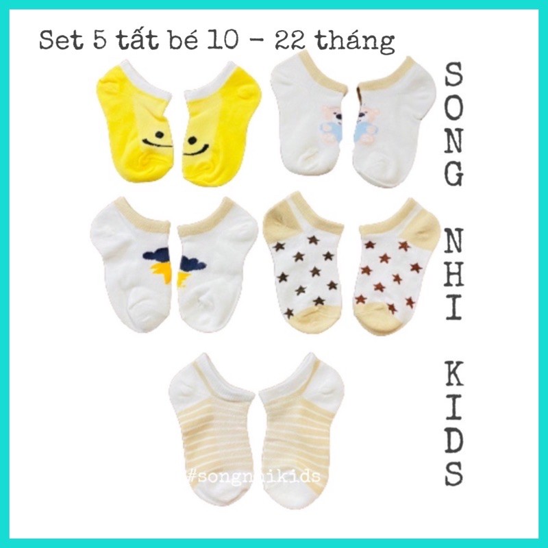 SET 5 TẤT COTTON CO GIÃN CHO BÉ 10 - 22 THÁNG (5 MÀU SIÊU CUTE)