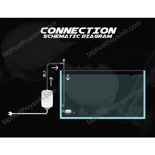 ĐẦU SỦI OXY MIN SIÊU ĐẸP