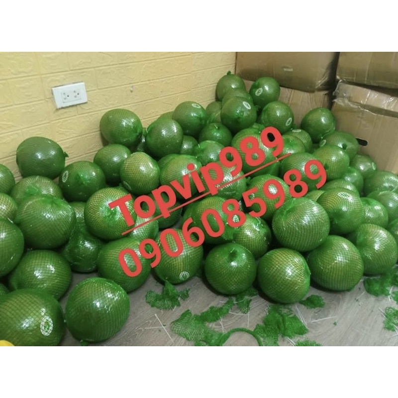 Combo 2 quả bưởi da xanh Bến Tre ngon