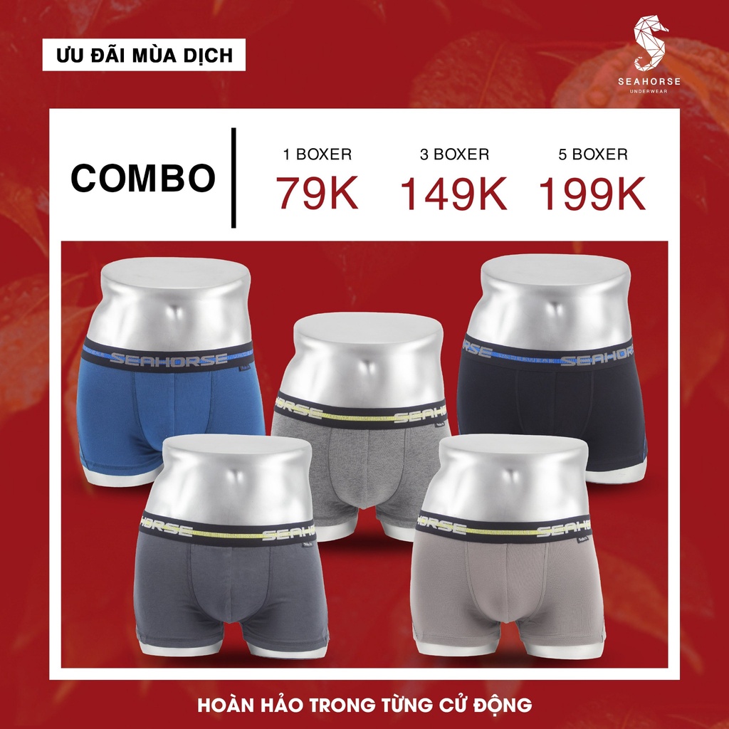 SET COMBO BOXER CAO CẤP SEAHORSE