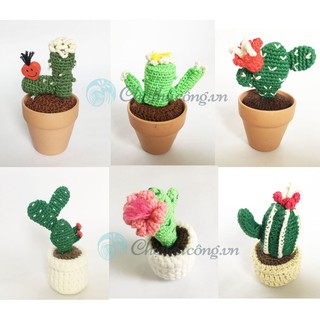 Xương rồng len handmade mini xinh xắn decor, trang trí, quà tặng [mẫu ngẫu nhiên]