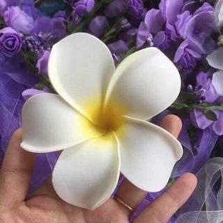 COMBO 600 HOA ĐẠI CÀI TÓC