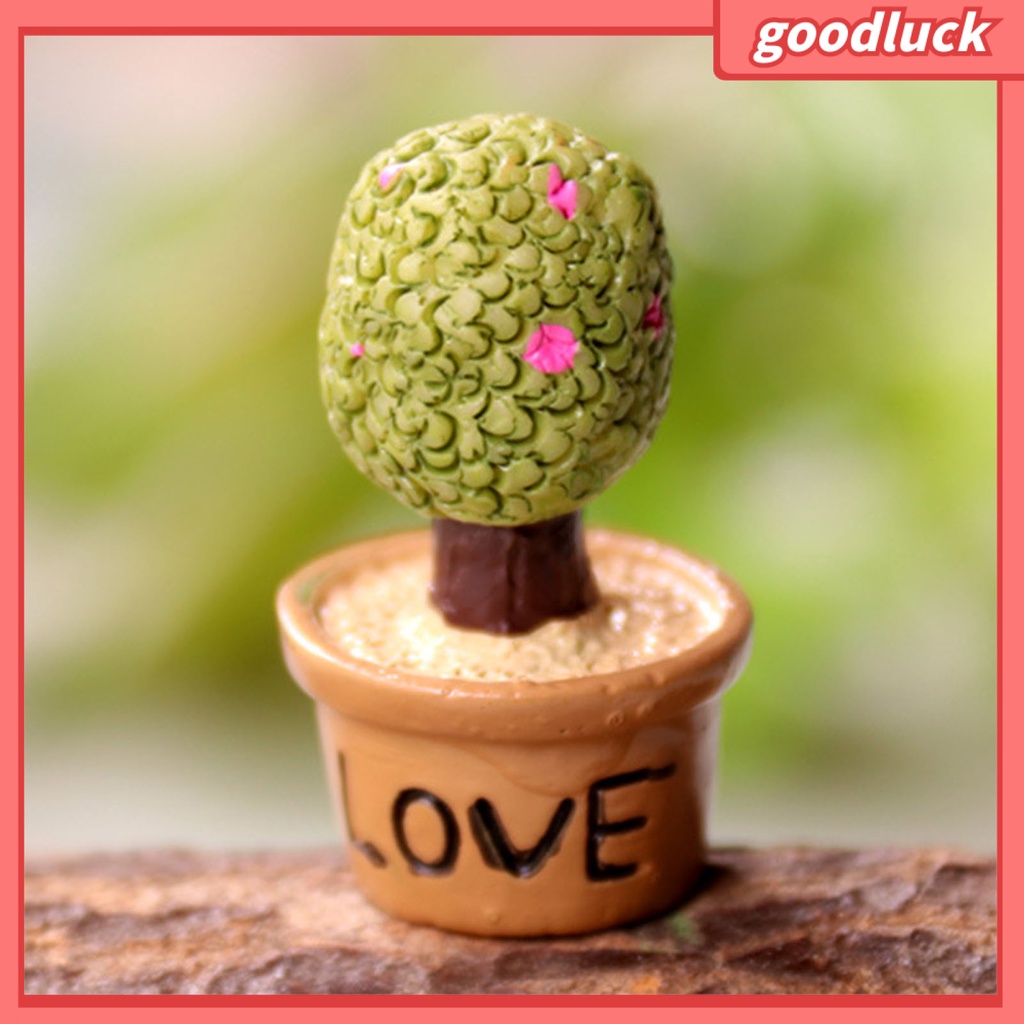 Mô hình cây mọng nước mini trang trí sân vườn DIY