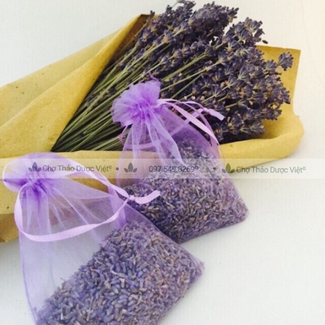 Hoa Lavender khô 500g (Nụ hoa oải hương sấy, tinh dầu, túi thơm phòng) - Chợ Thảo Dược Việt