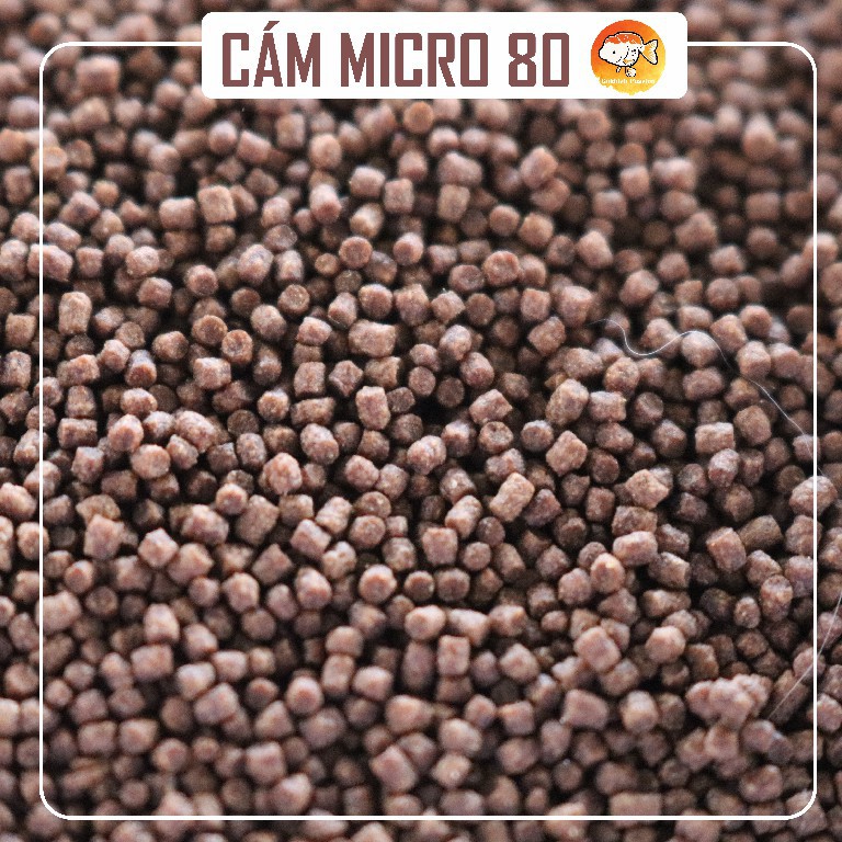 Cám Micro 80