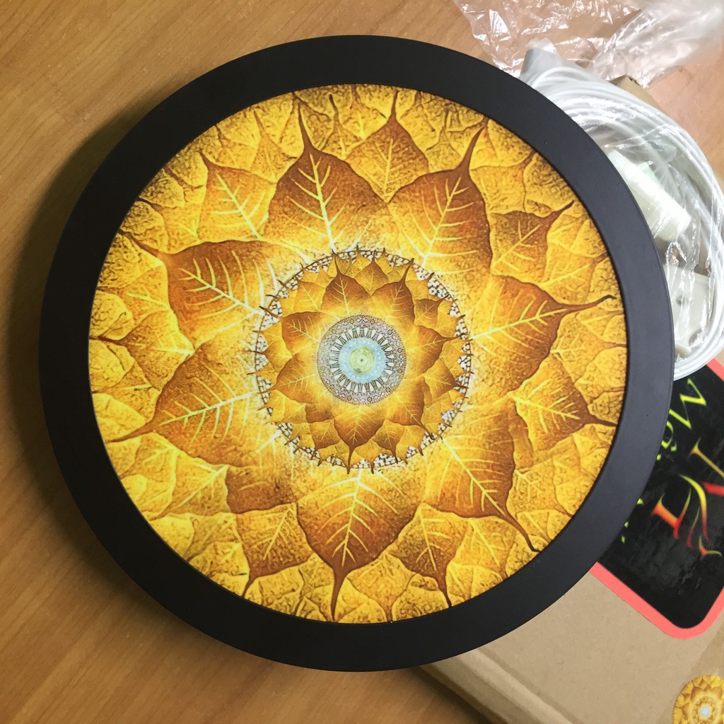 Sx -  Đèn Hào Quang - in tranh trúc chỉ 198, khung sắt, Đường kính 30cm