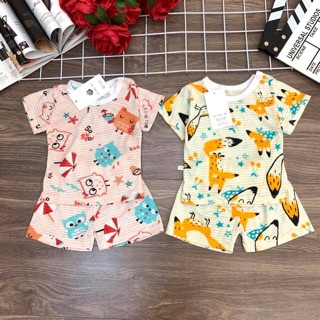 Combo 5 bộ cotton tre