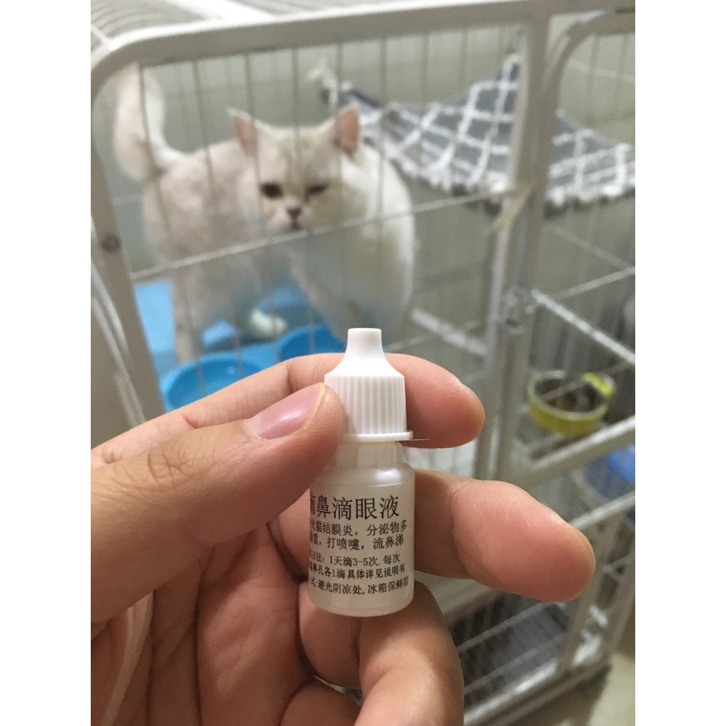 Nhỏ mắt mũi thần thánh hàng Nội địa Trung chó mèo đục giác mạc, viêm mắt, hô hấp sổ mũi Herpes mèo TracyAnna Cattery
