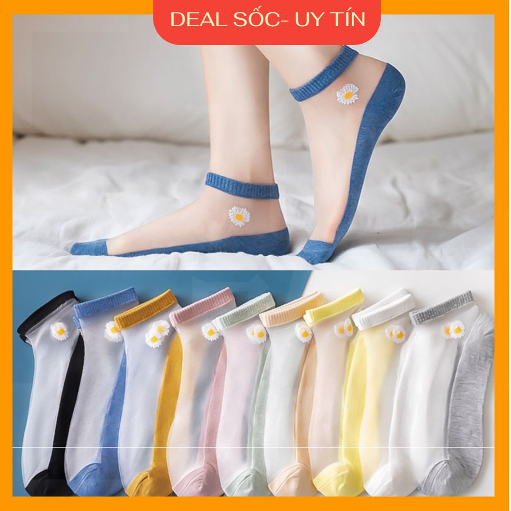 Lố 10 đôi Tất nữ ren kính trong suốt độc lạ mẫu mới