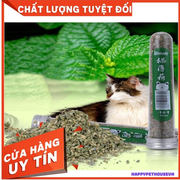 Hộp Cỏ Bạc Hà Catnip 250ml chuyên dùng dành cho mèo phê phê phê