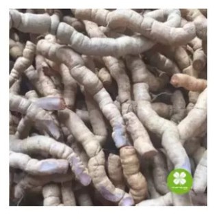 Ba kích tím Quảng Ninh (gói 1kg) - EOE074
