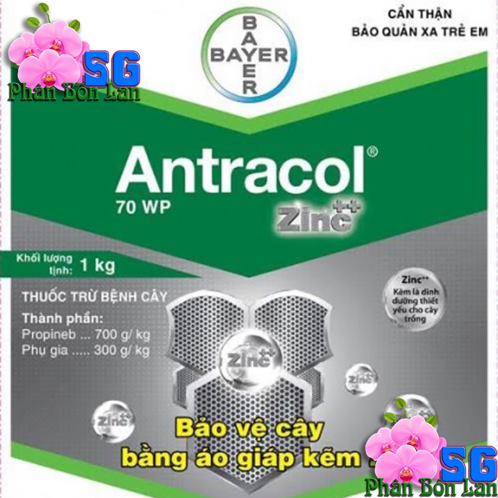 Antracol 70WP – thuốc trừ nấm bổ sung vi lượng kẽm Gói 100g Bảo vệ cây bằng áo giáp kẽm