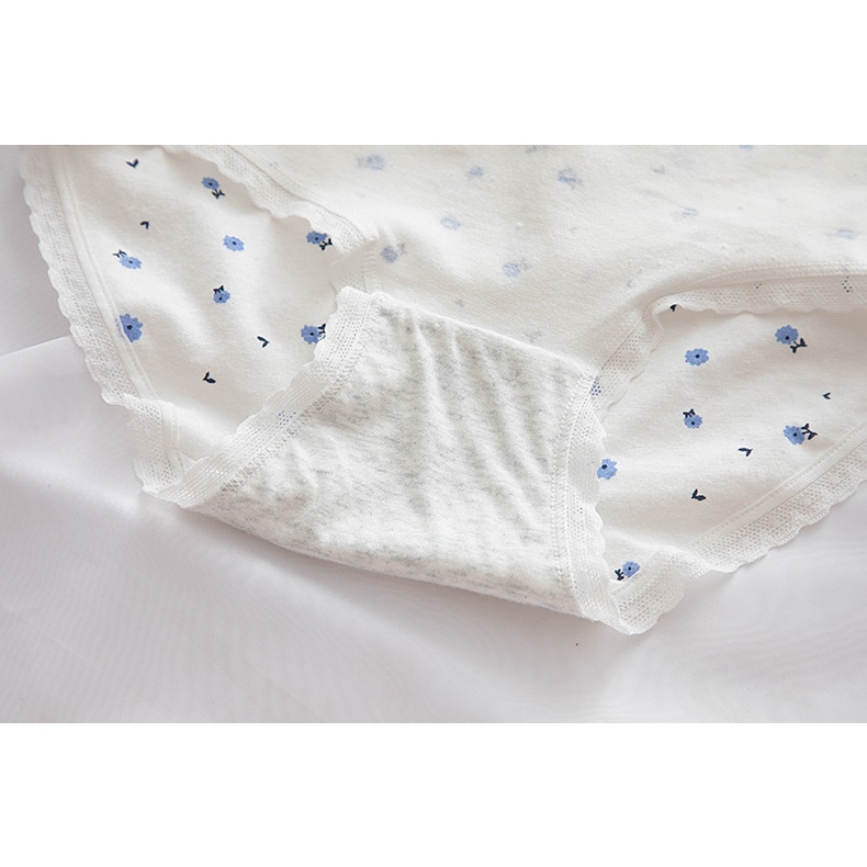 Quần lót nữ cotton tông xanh kháng khuẩn nhiều họa tiết caro kẻ xinh xắn QL335