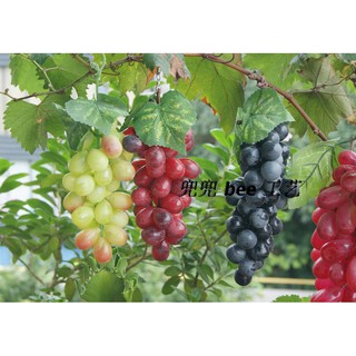 Bộ 36 Bông Hoa Trái Cây Giả Bằng Lụa Dùng Trang Trí