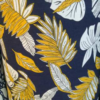 Tranh Vải Canvas Thiết Kế Đơn Giản Xinh Xắn