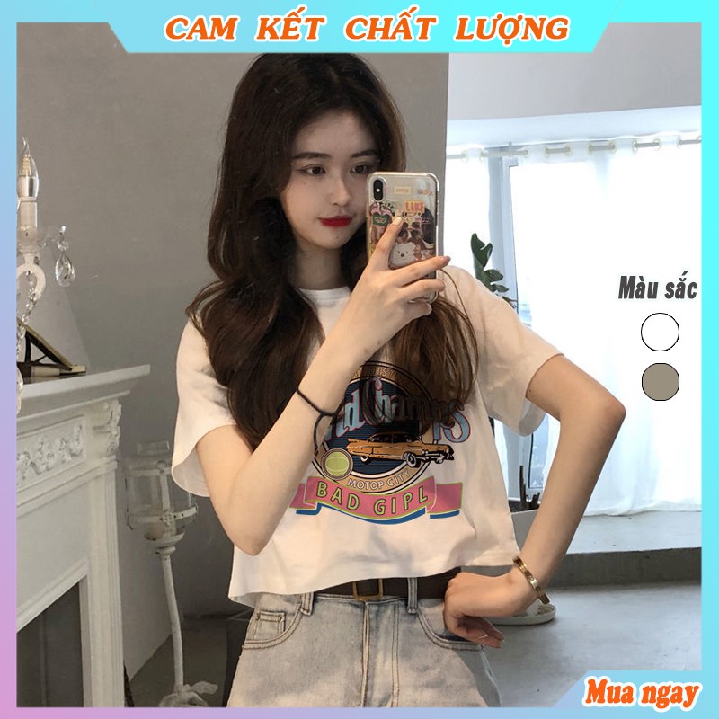 Áo thun nữ tay lỡ, áo thun croptop nữ form rộng thời trang thể thao dạo phố freeship mã AT06