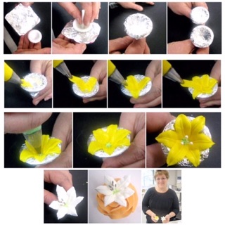 Bộ dù bắt hoa ly