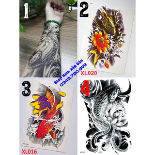 COMBO 4 HÌNH XĂM CÁ CHÉP - NHƯ THẬT 99%